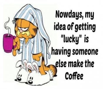 IMG_0222.jpeg