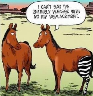 Horse Humor.jpg