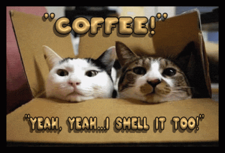 R.gif