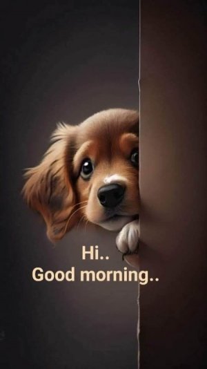 Good M Hi.jpg