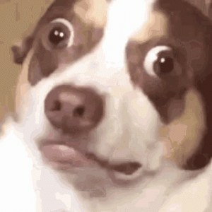 e688a9b1385c294cfad290bdf3a75a0b.gif