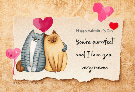 309764637cute-cats-love-valentines-day-card-gif.gif