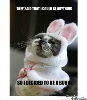 rabbit12.jpg