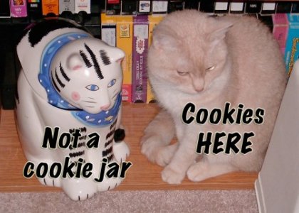 cookie jar cat.jpg