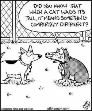 FB_IMG_1737089041174.jpg