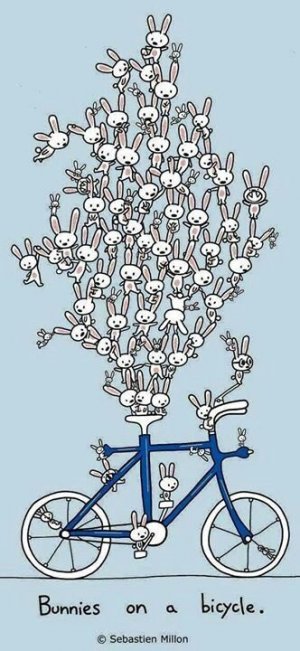 Bunny bike.jpg