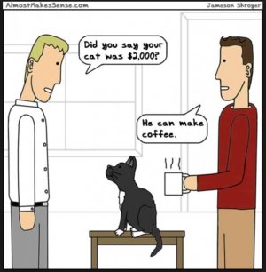 funny-coffee-comics-22.jpg