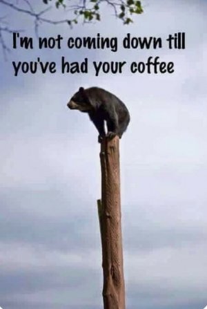 coffee4.jpg