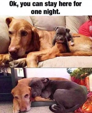 FB_IMG_1737266617444.jpg