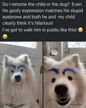 animal7.jpg
