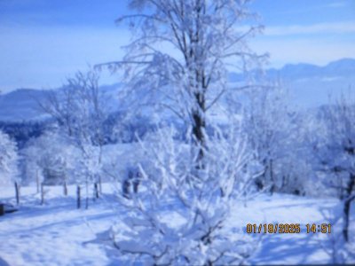 IMG_7343.JPG