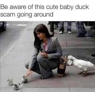 1737373478040.jpeg