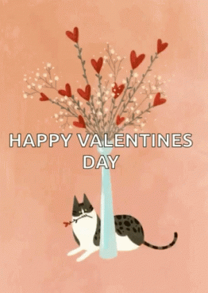 cat-valentine-valentines-day.gif