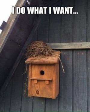 animal4.jpg