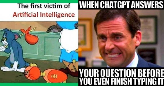 ai13.jpg