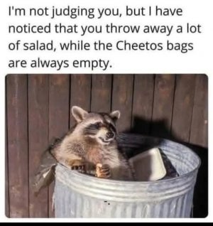 IMG_1827.jpeg