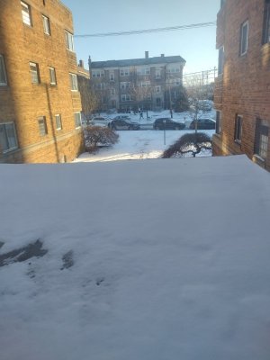 IMG_20250120_154623723.jpg
