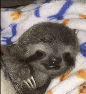 1737427177367.gif