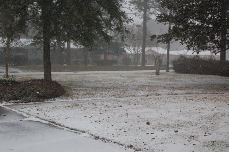 DSC_5181.JPG