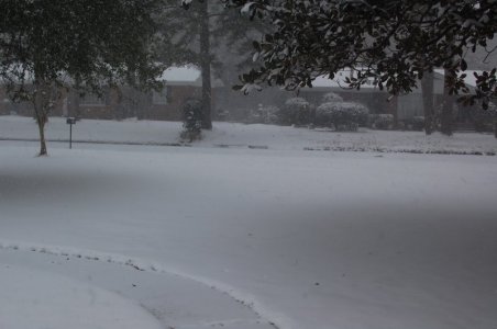 DSC_5182.JPG