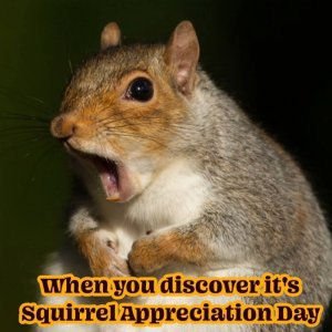 FB_IMG_1737485730802.jpg