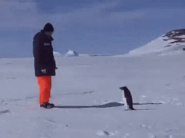 f1a1a5dd61fb627d601cf73f2e8f273e.gif