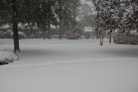 DSC_5184.JPG
