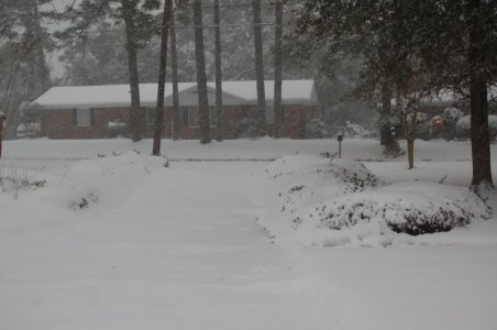 DSC_5185.JPG