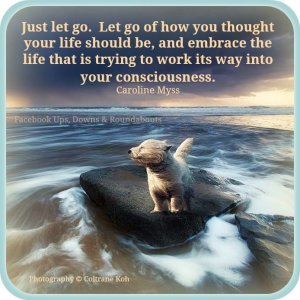 let go.jpg