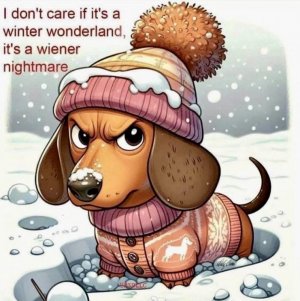 FB_IMG_1737523482692.jpg