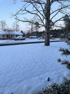 IMG_1832.jpeg