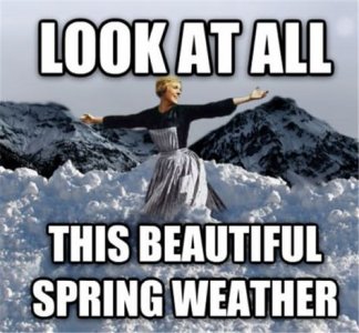 a24833a9558acf4a7925c6f7ce381a74--toronto-ontario-canada-spring-weather.jpg