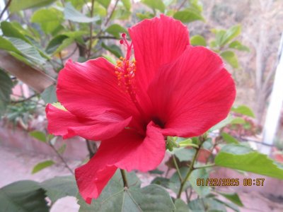 IMG_7373.JPG