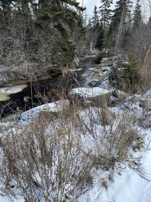 IMG_7372.jpeg