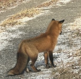 IMG_9710.jpeg