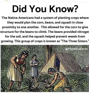 facts.jpg