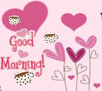 25fd8fd728dd3cfda4be5bfb500cbcdb[1].jpg