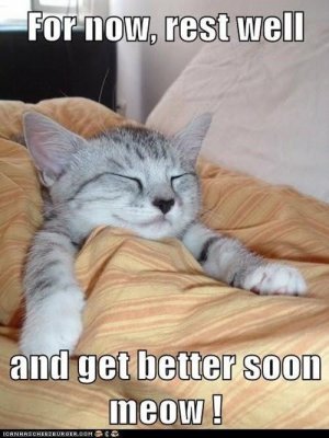 40 Funny Get Well Soon Memes To Cheer Up Your Dear One - SayingImages_com.jpg