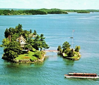 1737643059649.jpeg 1737643059649.jpeg