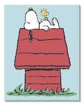 At Home.jpg