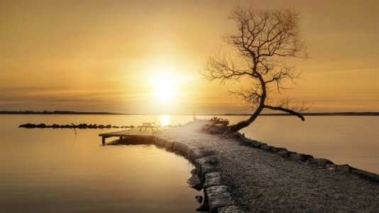 245948-nature-landscape-water-sea-trees-path-pier-horizon-calm-4160594571.jpg