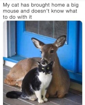1000008792.jpg