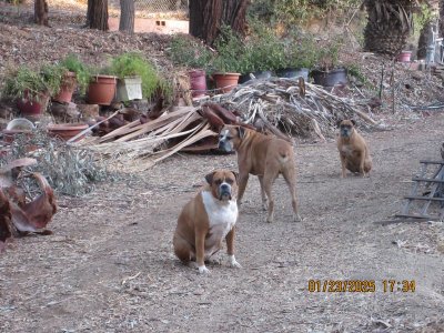 IMG_7403.JPG
