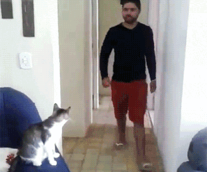 Hi-Five.gif