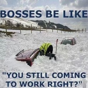 Snow2.jpg