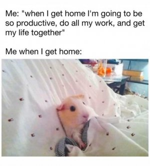 FB_IMG_1737674894414.jpg