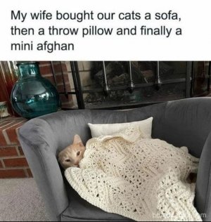 1000008819.jpg