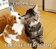 cute-puppy.gif