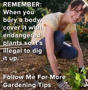FB_IMG_1663273107359.jpg