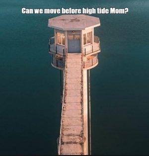 hjhj.jpg